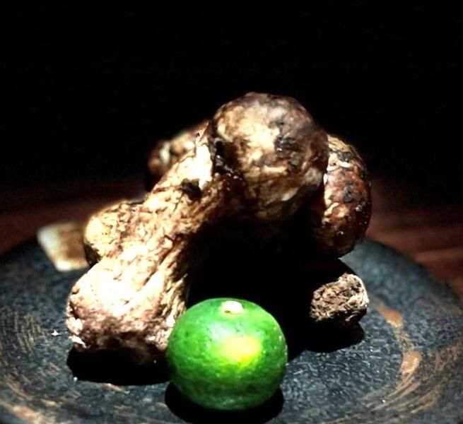 MATSUTAKE course