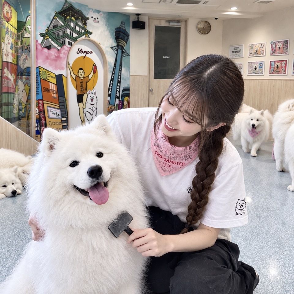 <> Samoyed Staff Experience Plan (60 minutes)