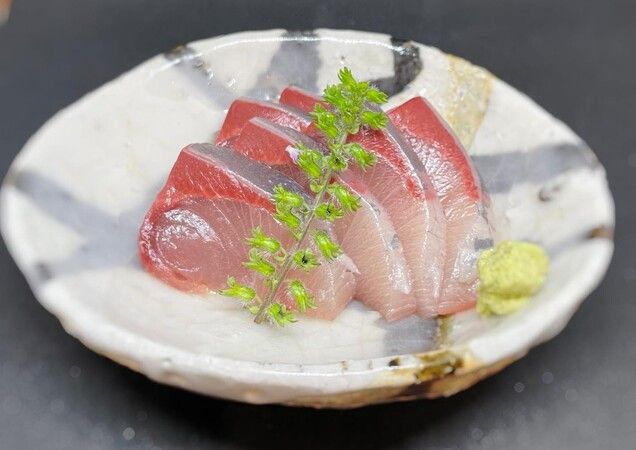 Sushi Aoi