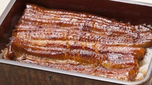 うなぎ目白ぞろ芽