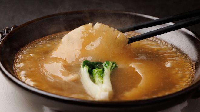 Shark Fin Restaurant Ginza Nanoka