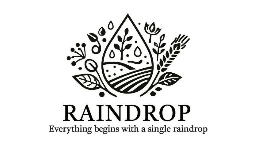 RAINDROP