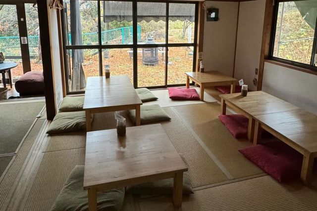 PIZZERIA IL PICCOLINO