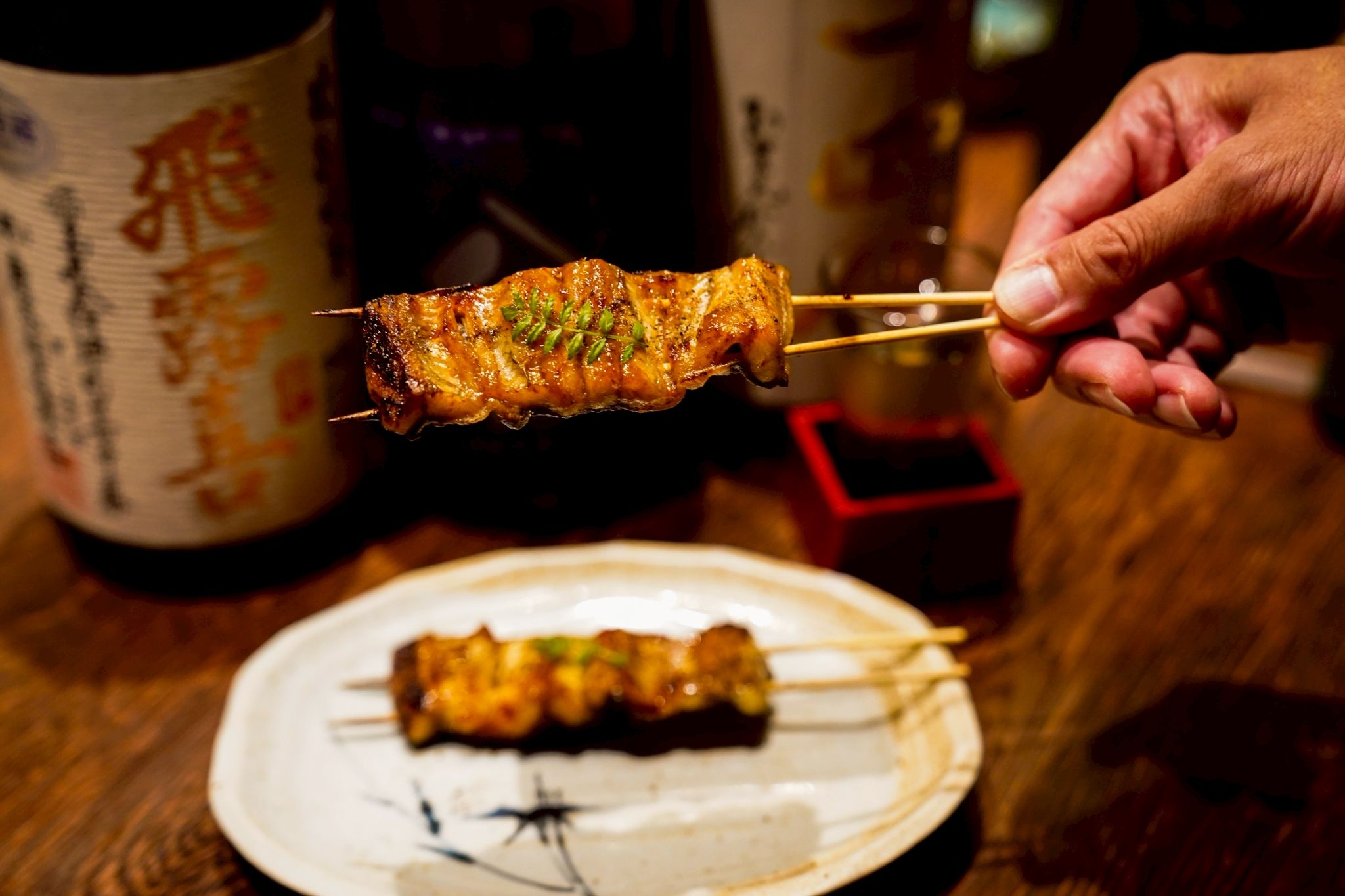 Yakitori Toribian SAKURA