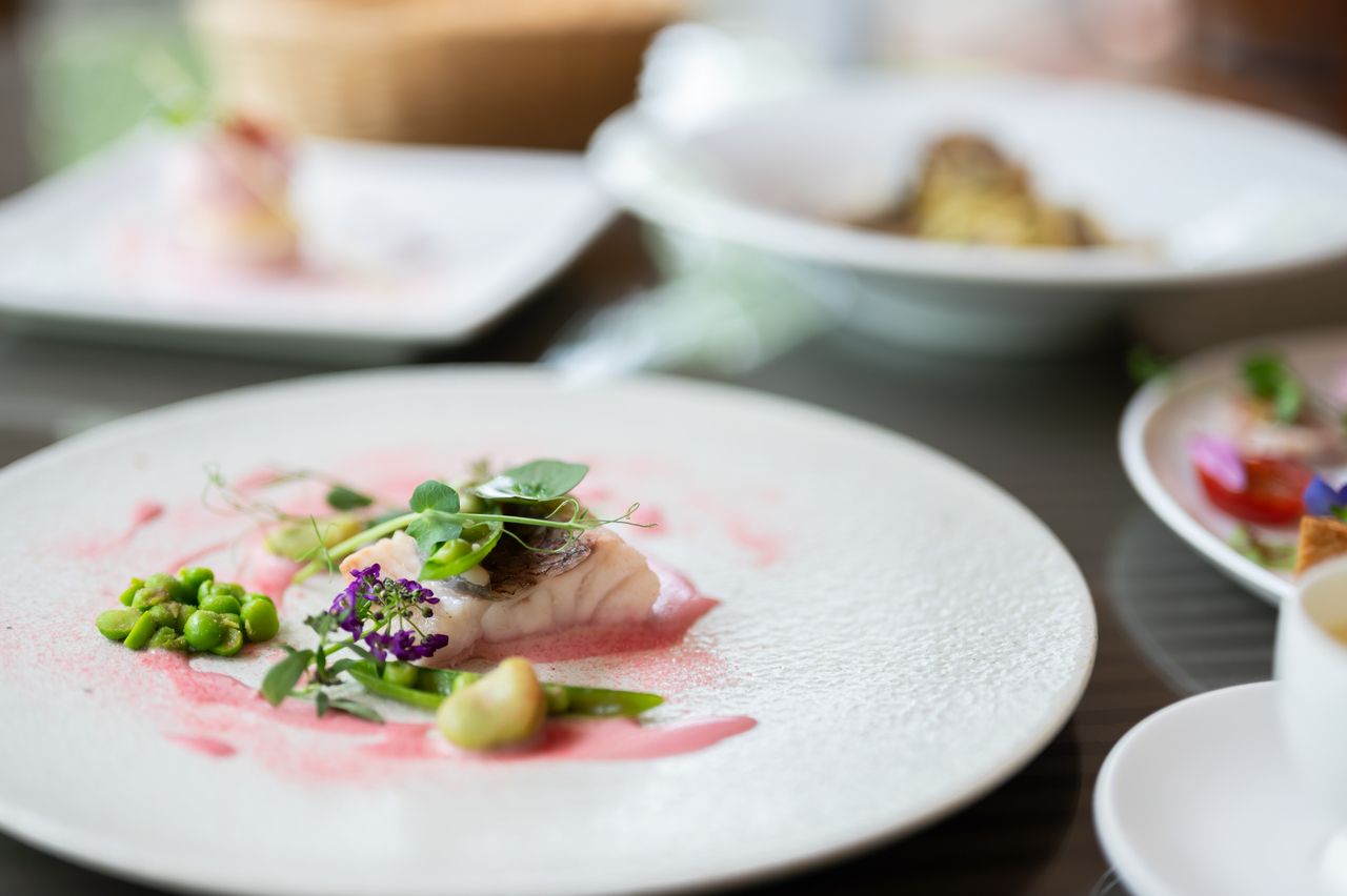 【Lunch B】お昼でもフルコース仕立てで特別な食事をしたい方