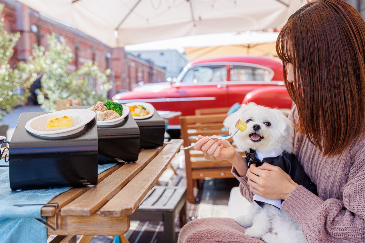 Dog Menu (Terrace Seating Only) — Famille précieuse