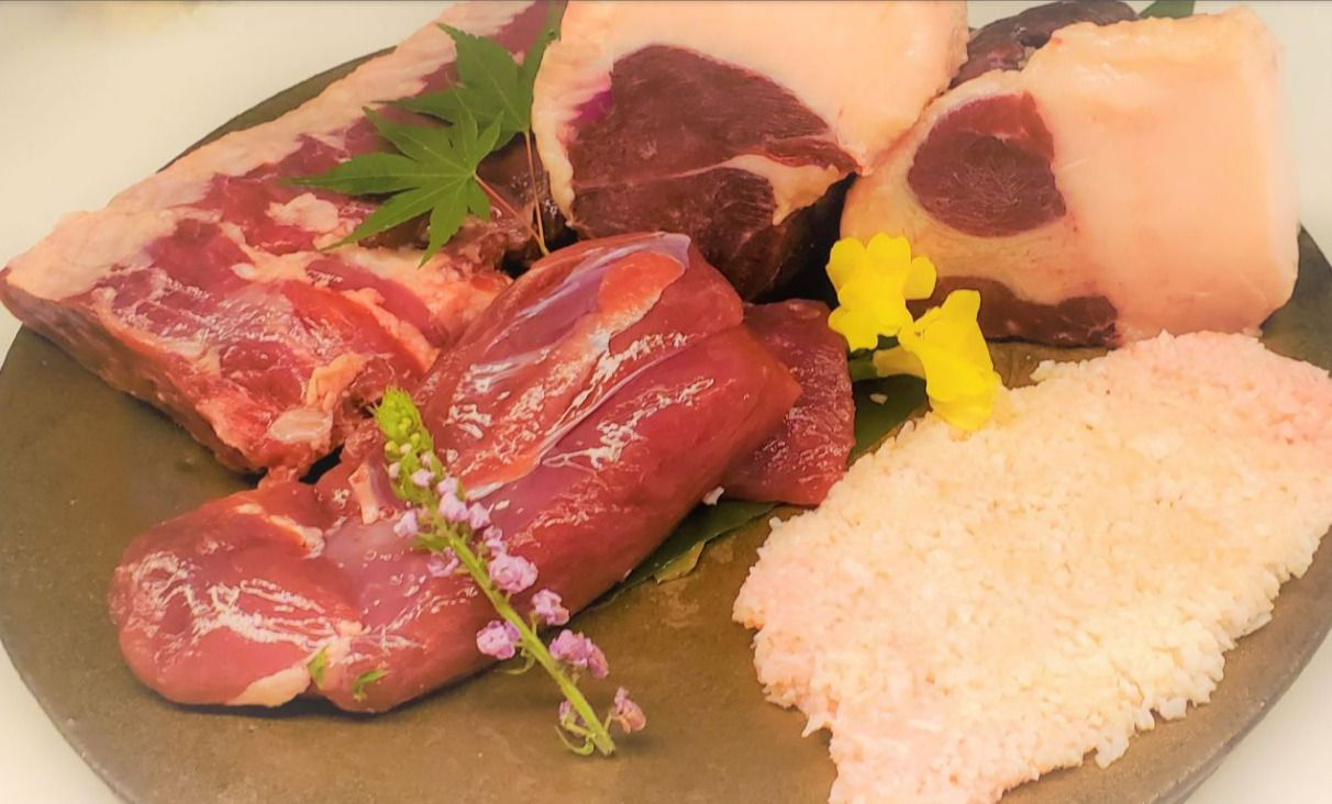 【오마카세】지비에나 다양한 고기 구이와 요리 코스