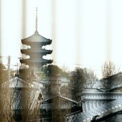 季節の豆ちゃ　昼懐石（1/25~3/19)