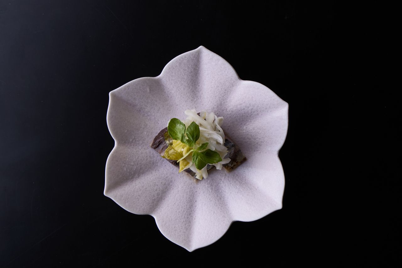 【ランチ限定】八寸から始まるカジュアルに季節のお料理を楽しむ　豆ちゃの昼懐石【凪】