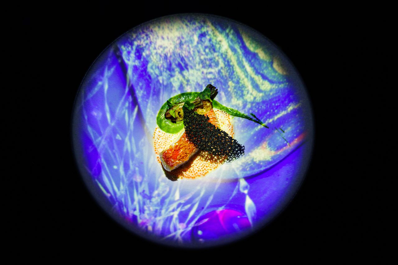 Immersive Dinner Course