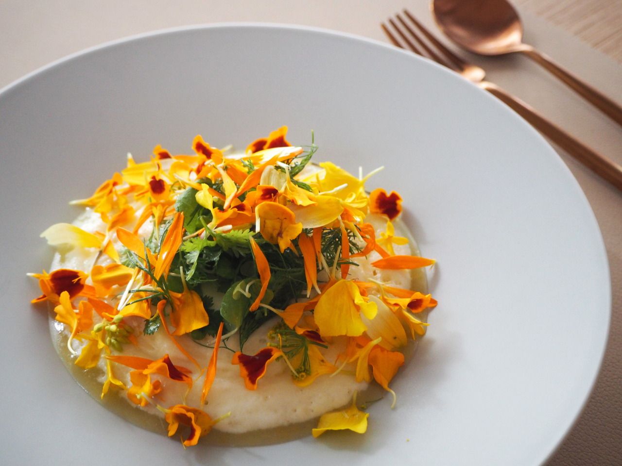 Menu  Lumière