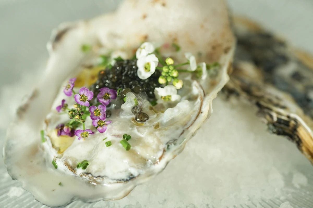 2026 Degustation Course By Chef Shingo Suzuki