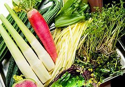 旬食材のショートコース【雲海コース】