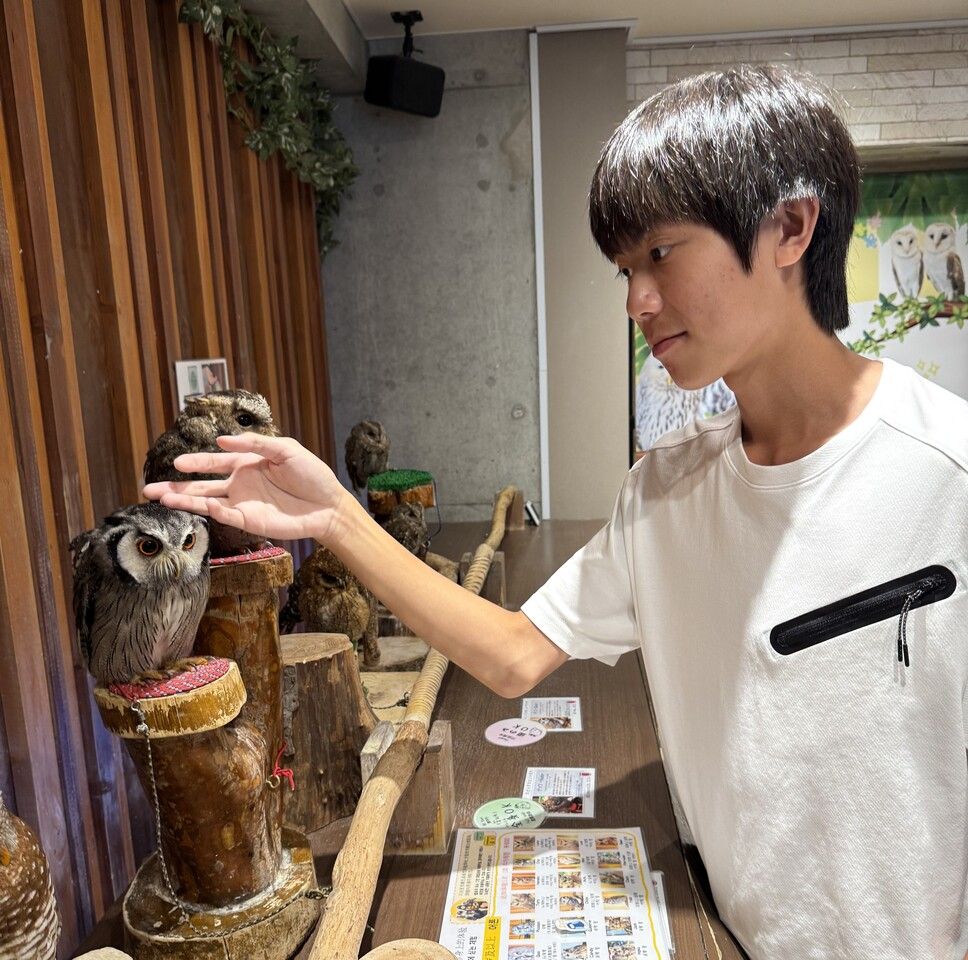 【學生優惠】僅摸貓頭鷹+ 含 1 杯飲料