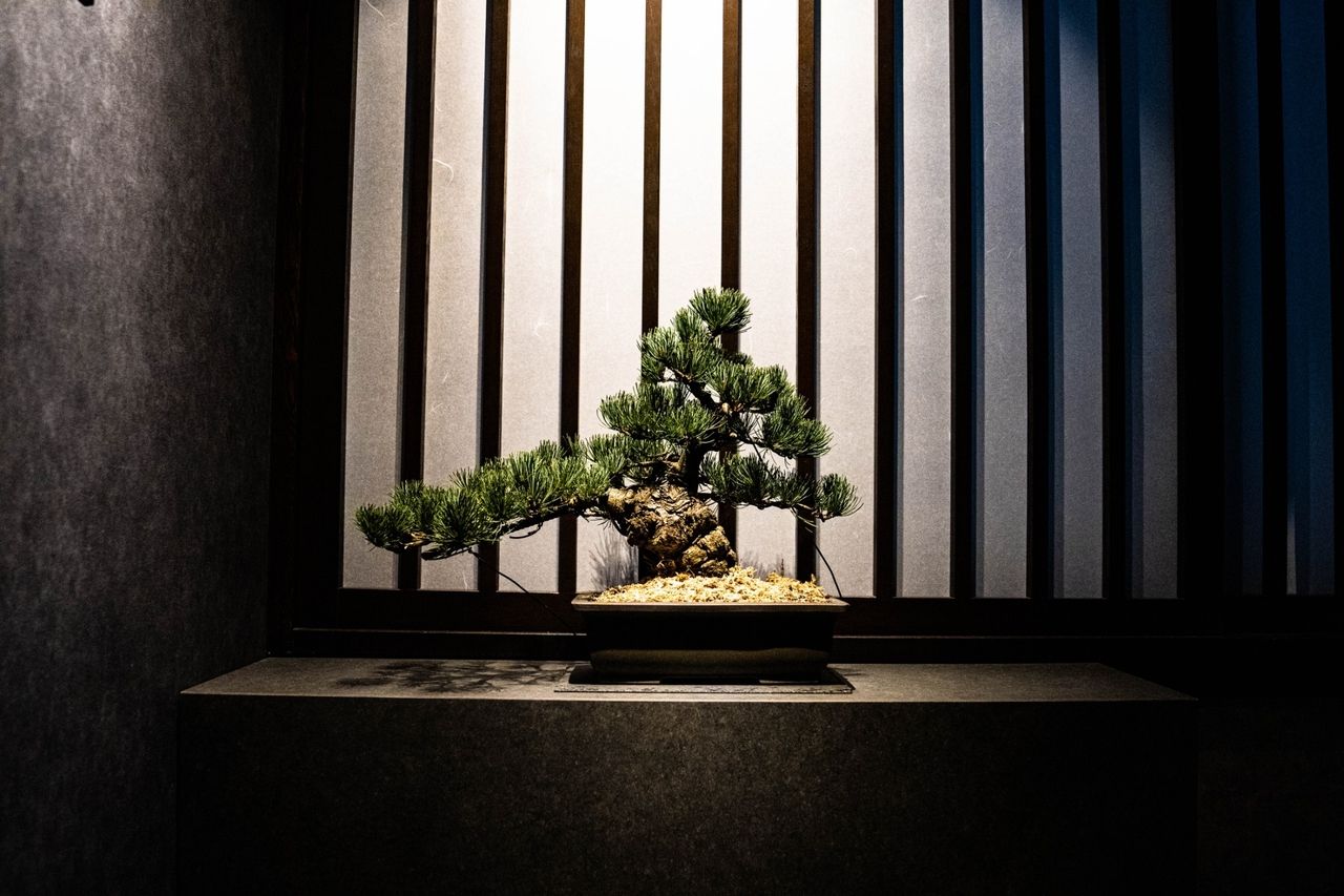 よいん肉尽くし【IG予約】