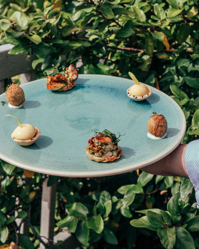 【Chef’s Seasonal Selection – Lunch】11/19~