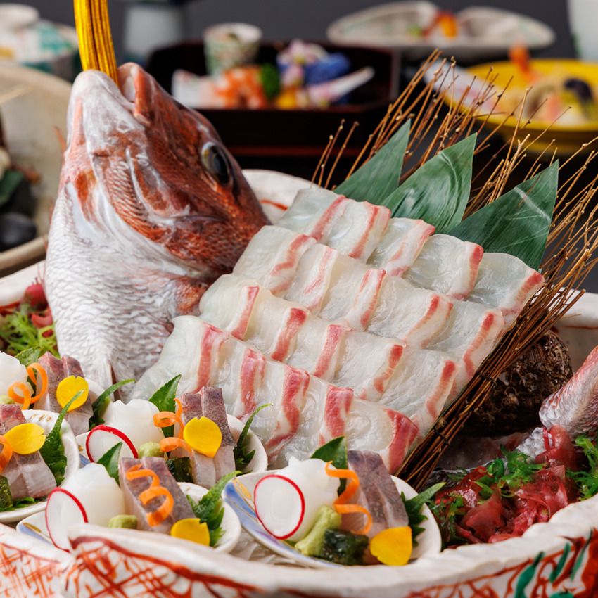 【藤　ふじ】姿造り季節のお会席