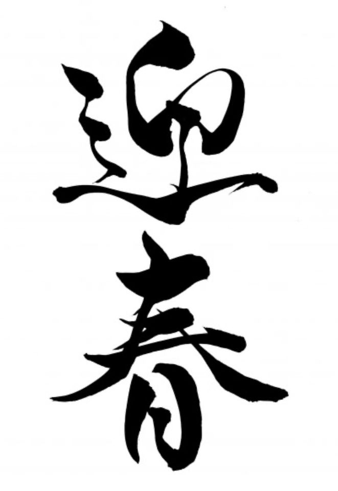 New Year's Premium Western Plate 2026