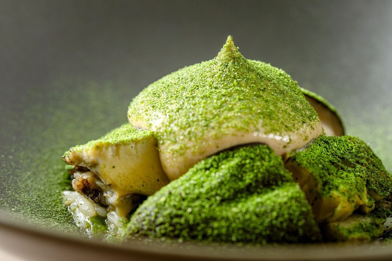 [Dinner] Goh Signature "Abalone" Included | 10,000 Follower Celebration Course