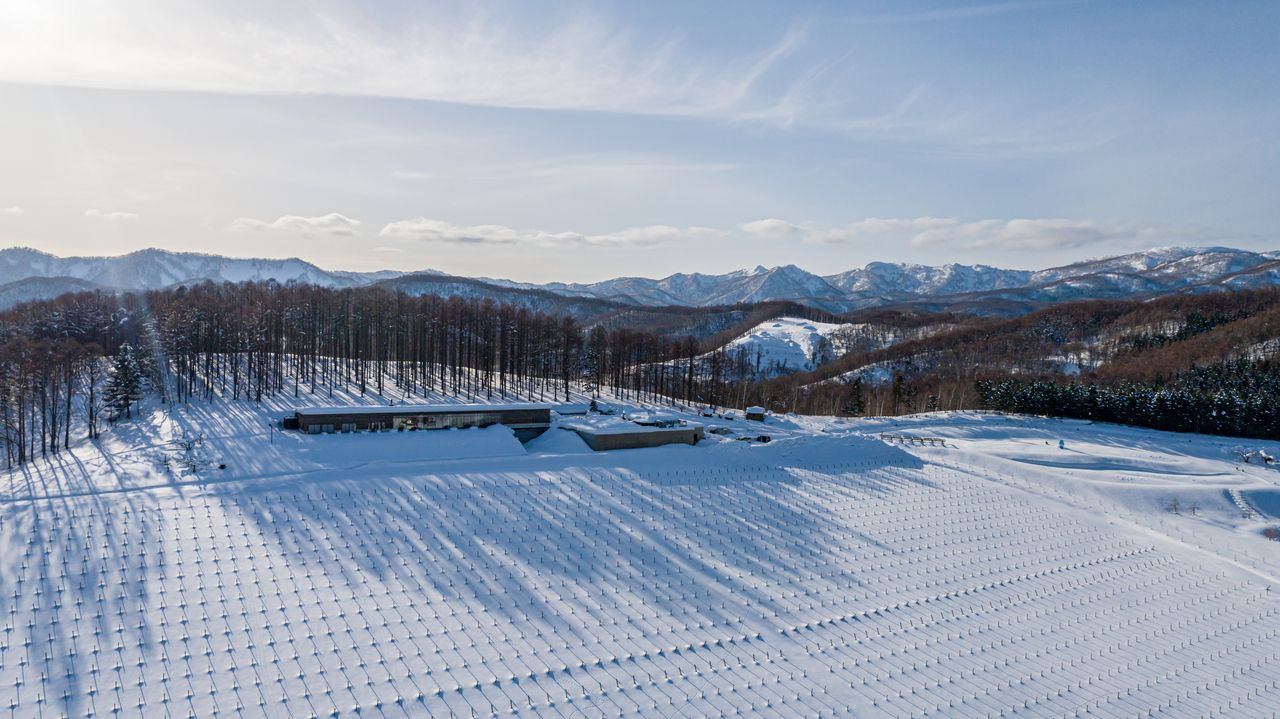 【第3回】NIKI Hills Winery (北海道余市郡)