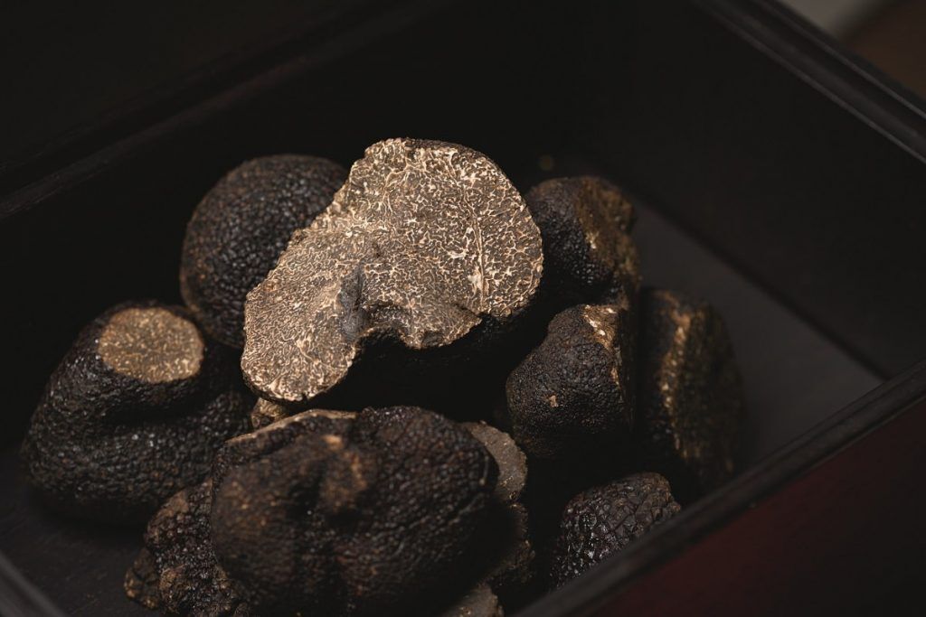 【黒トリュフと近江牛の特別コース】