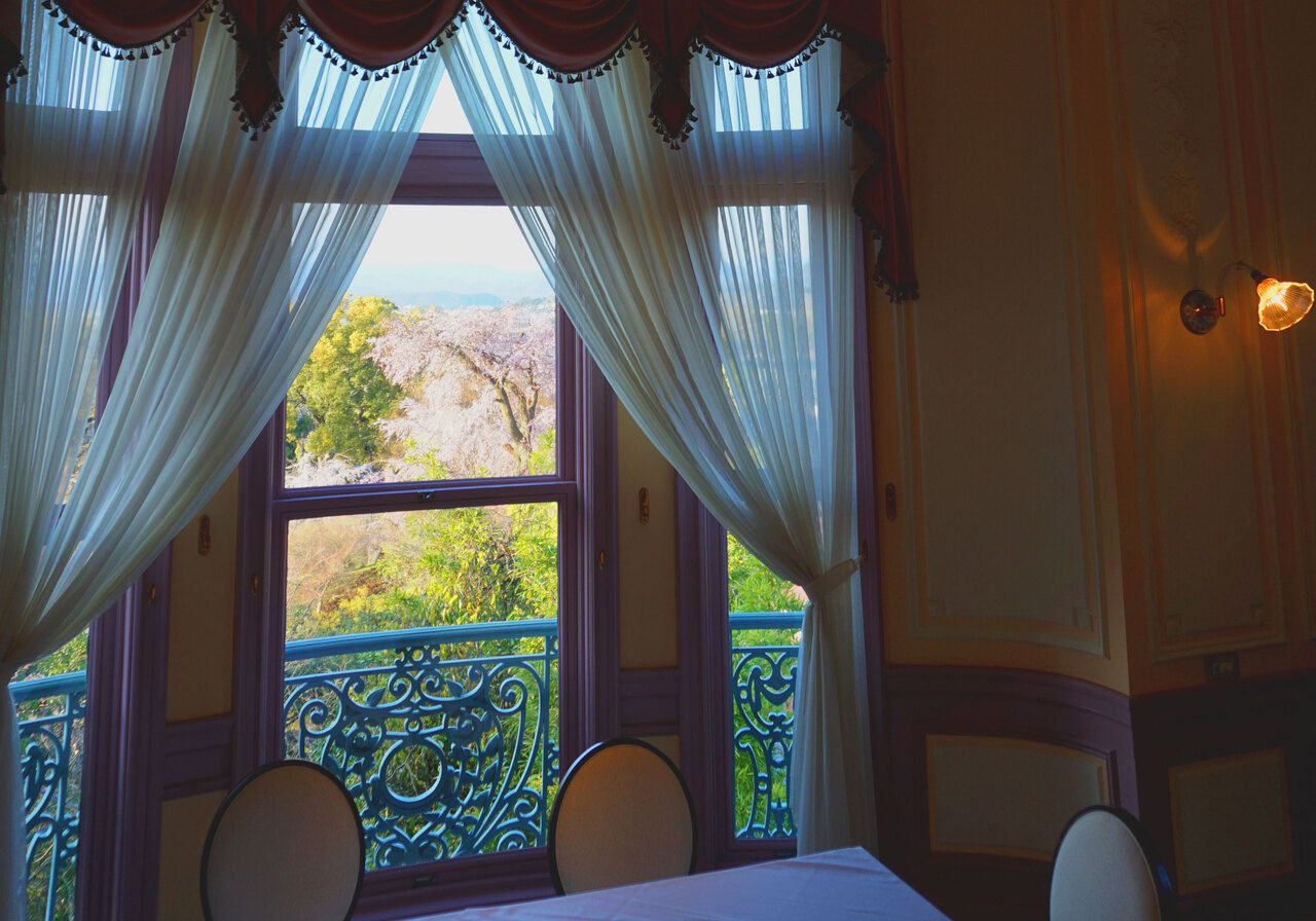 【Dessert Cafe】Advance Seat Reservation (with a View of Maruyama Park Cherry Blossoms)【2 persons】