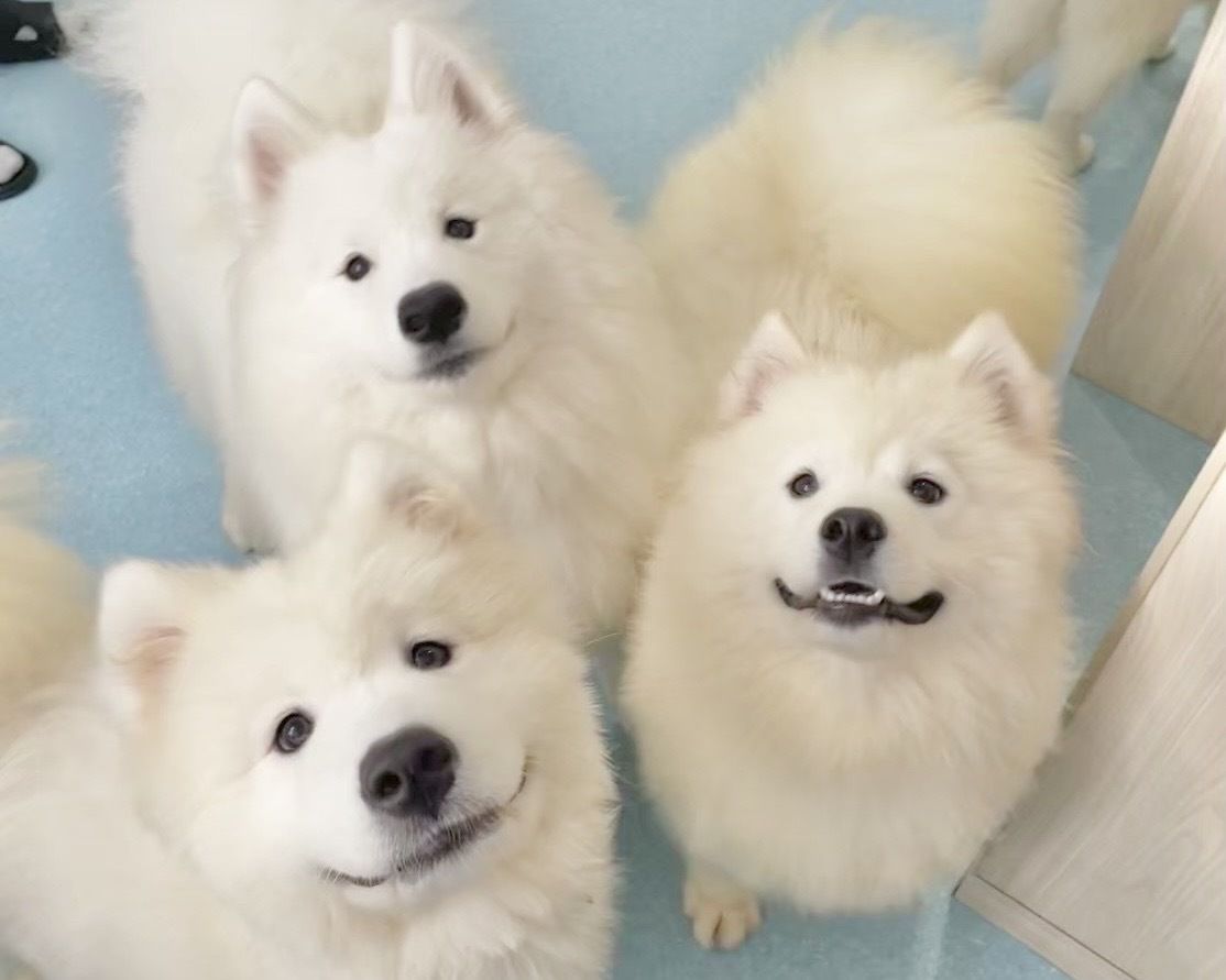 4/1～≪土日祝≫通常チケット（50分）