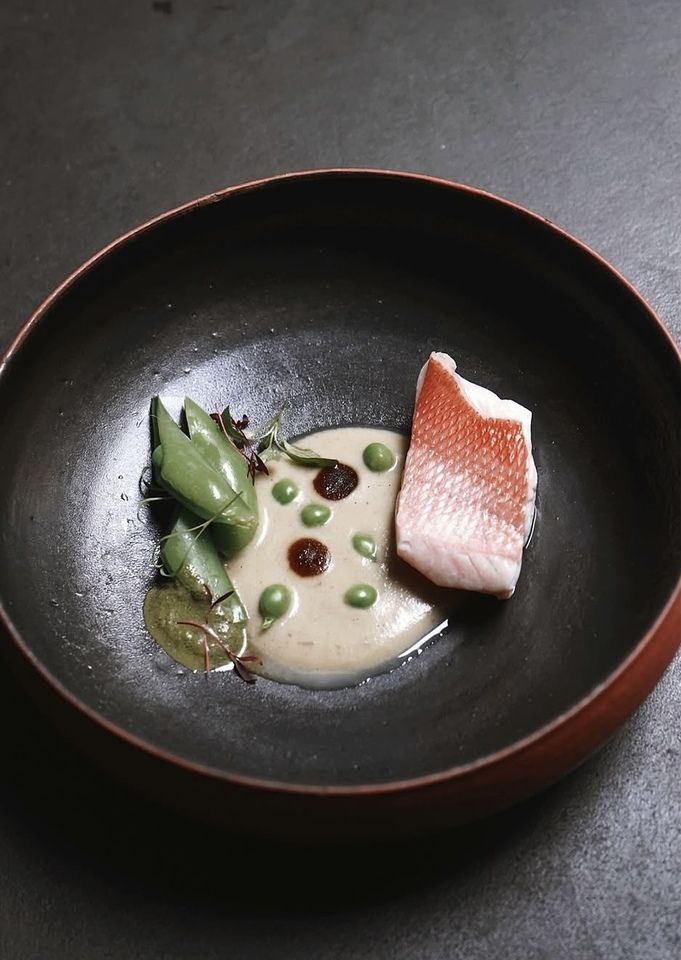 5/12 ~ ADI 季節のカジュアルコース ( 5品）