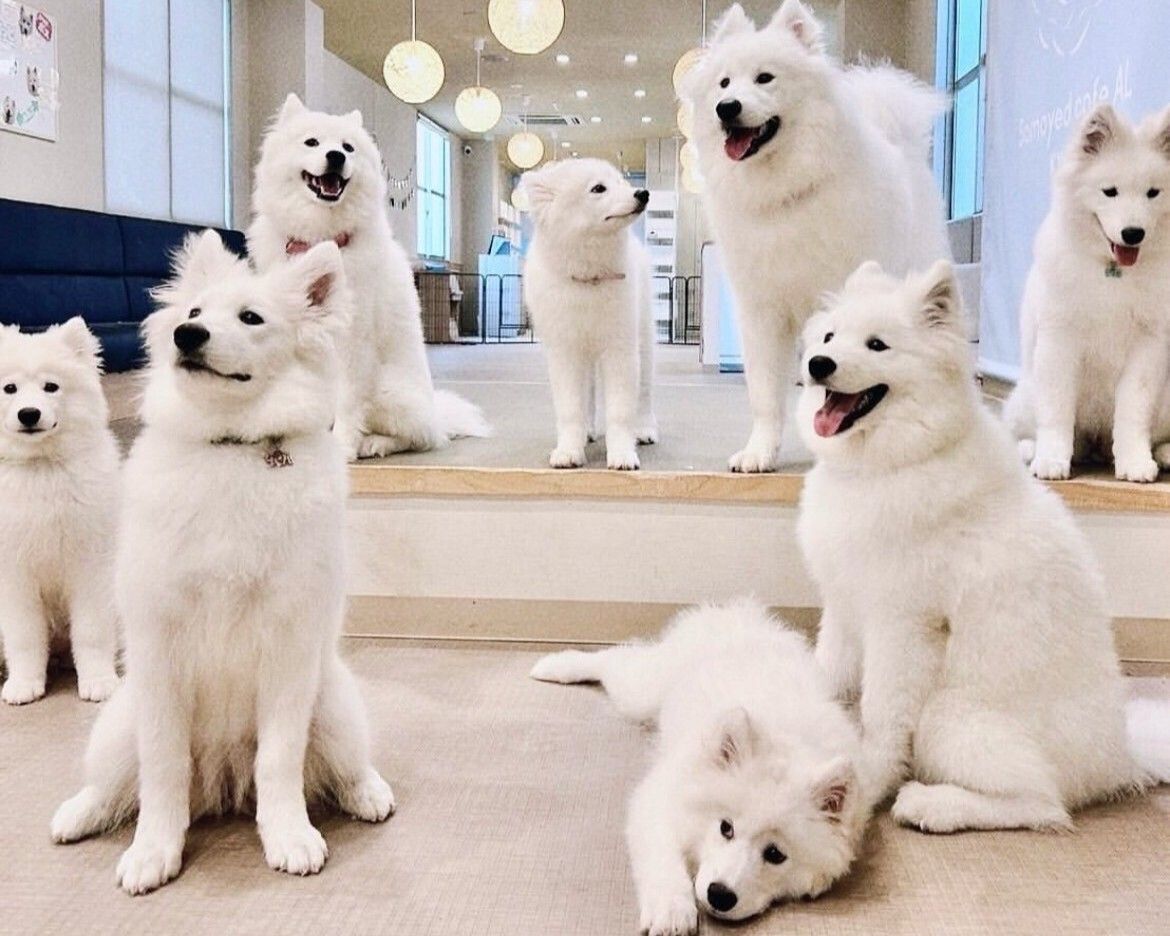 Golden Week Regular Ticket (50 minutes)