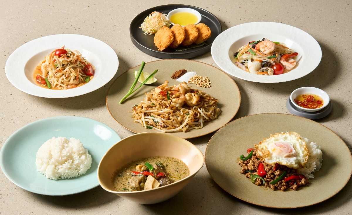 《京都美食めぐり 2026夏》ウィークデーランチ