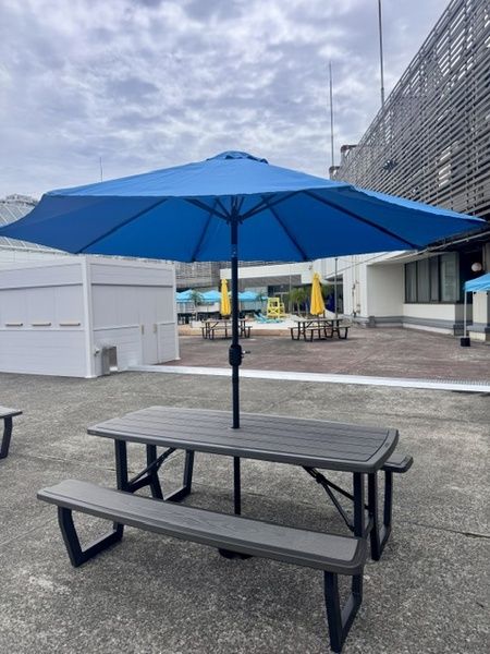 Parasol Area