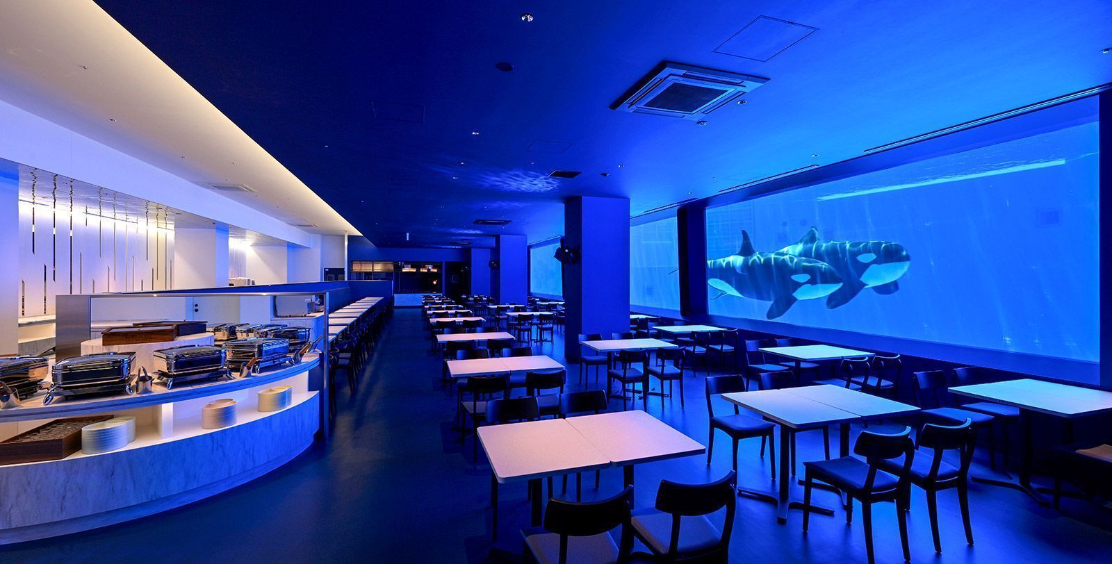 Blue Ocean Orca Stadium / Kobe Suma Sea World