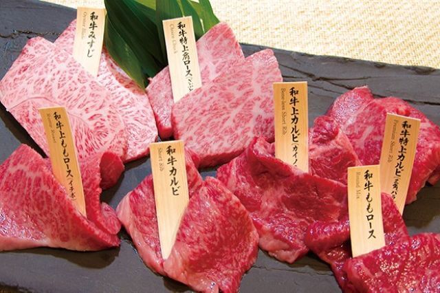 Tokori Ooimachi