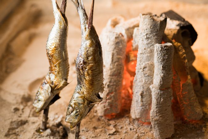 Irori-yaki Sumire-chan