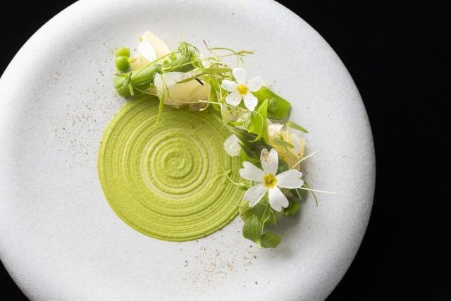 Wine Lounge & Restaurant Cepages 