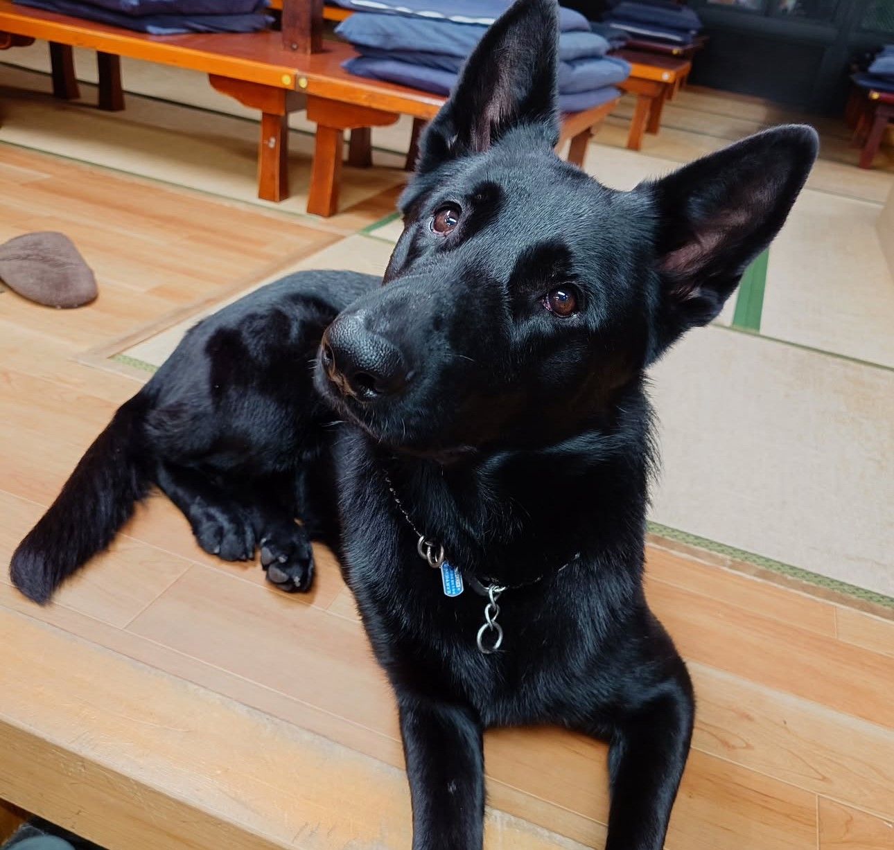 Popular Kappo Tohachi