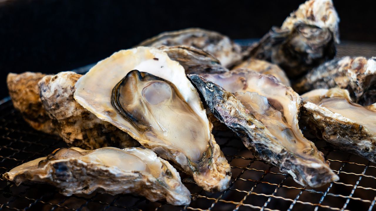 牡蠣食べ放題プラン【大人】(60分制)