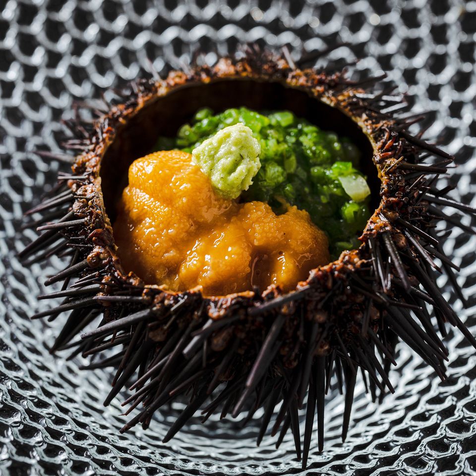 【夜】お任せコース 19,800円