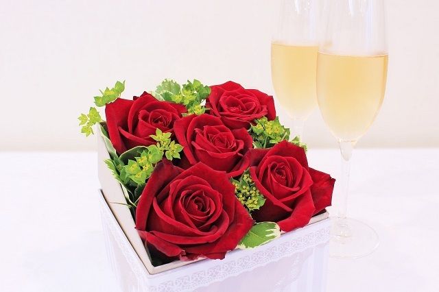 アニバーサリープラン ～Premium～