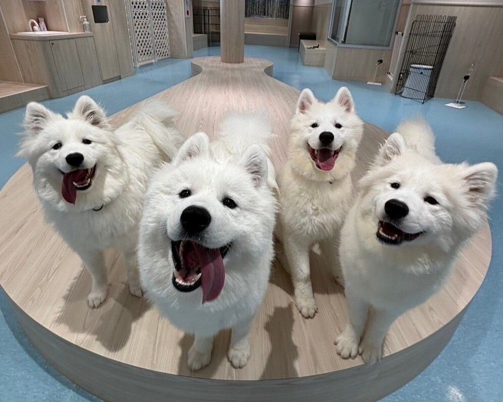 ≪平日≫通常チケット（50分）