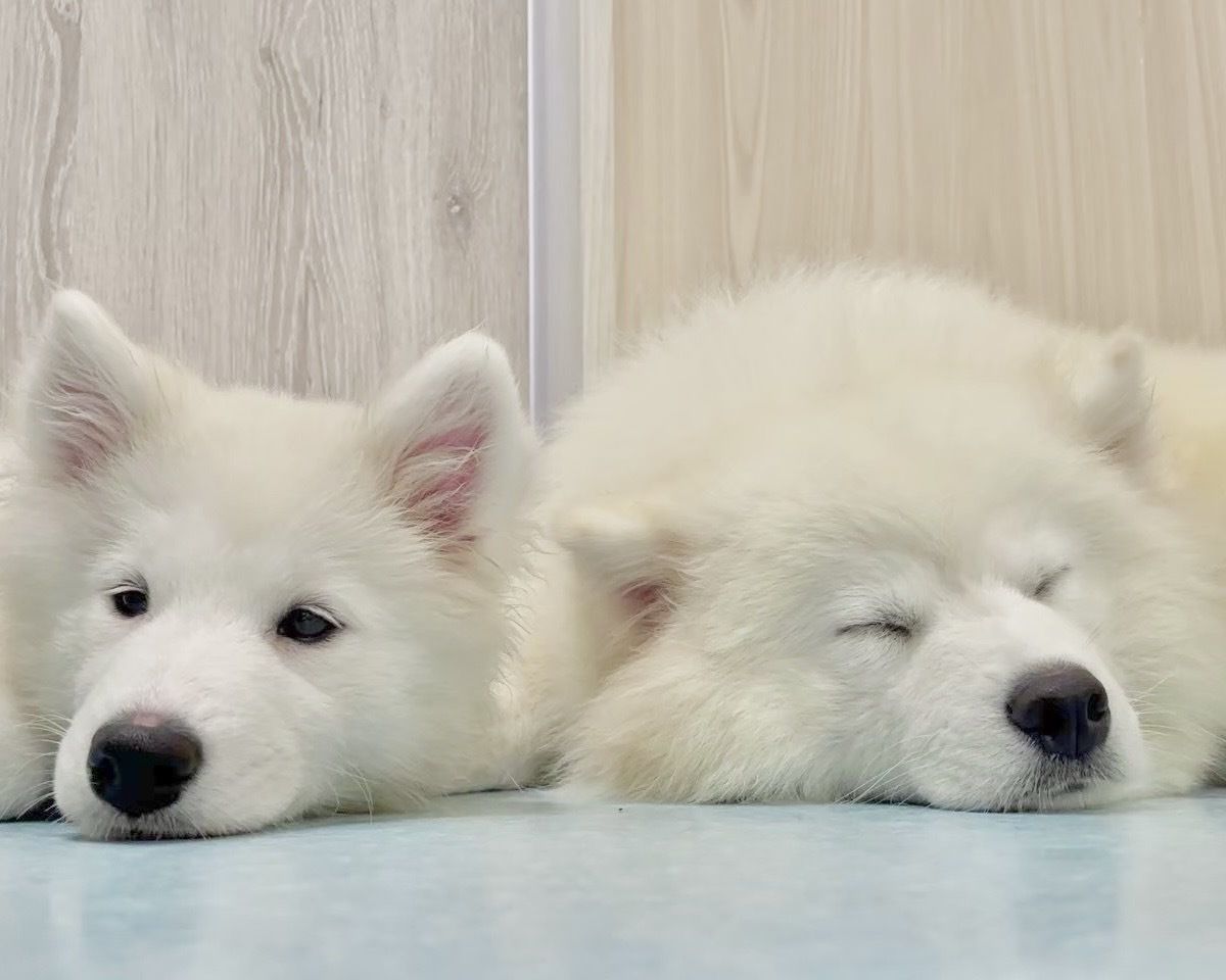  Regular ticket (50 minutes)