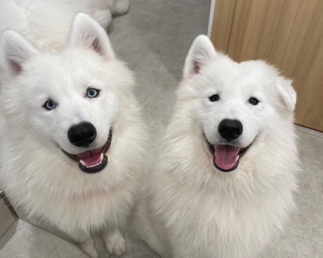 ≪土日祝≫通常チケット（50分）