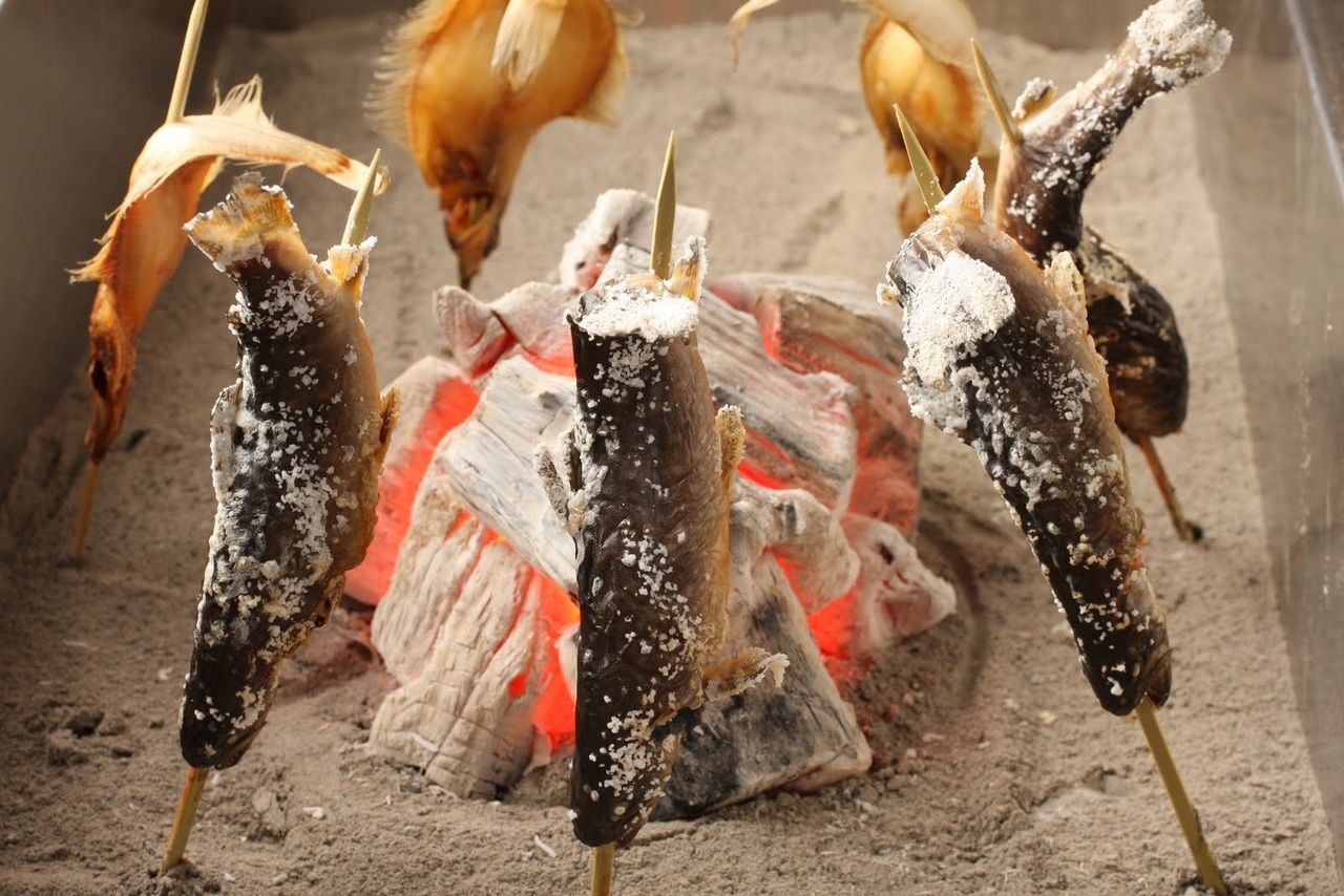 ＜全室個室＞方舟名物南魚沼産岩魚を楽しむいろり焼きランチ会席プラン～全8品～＋選べる1ドリンク付