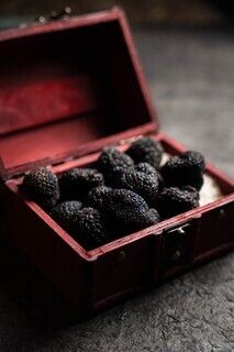 [Gourmand Course] A gourmet course featuring eight dishes made with seasonal ingredients, truffles, caviar, and other premium ingredients, including seafood and meat carefully selected by the chef.