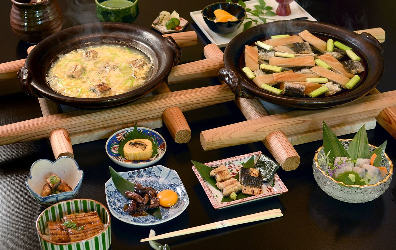 The course full of eel