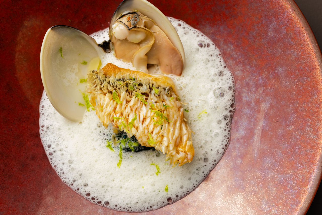 【おまかせコース＋選べるドリンクペアリング】