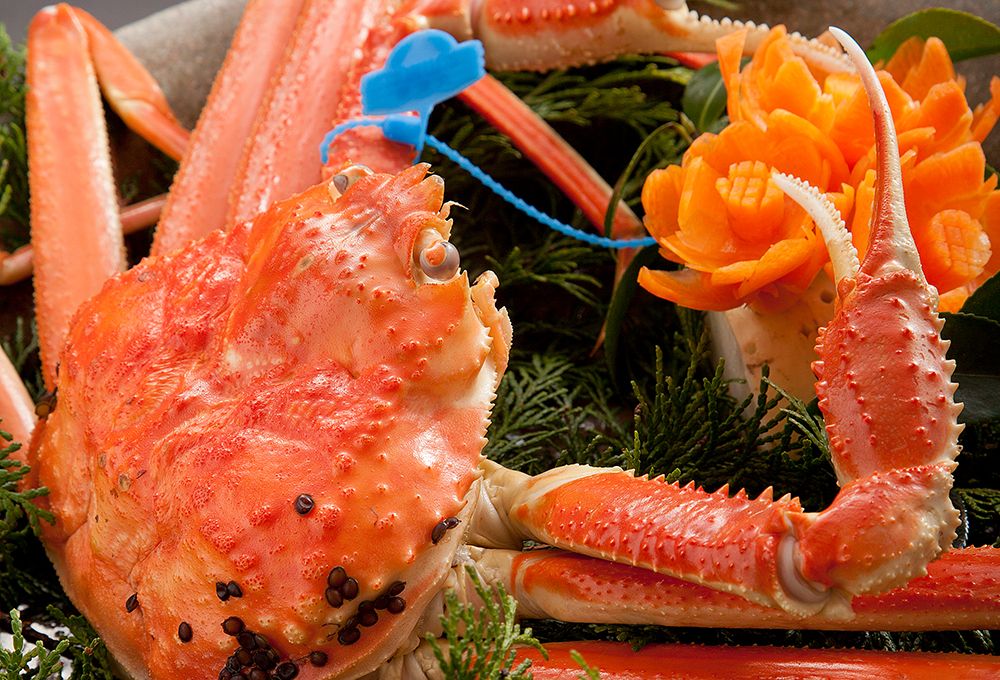 Nara Prefecture Matsutake Course