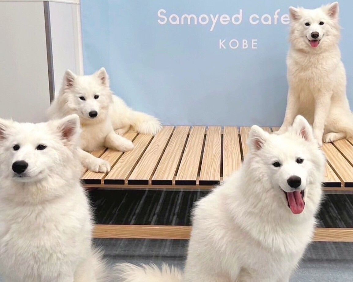 ≪土日祝≫通常チケット（50分）