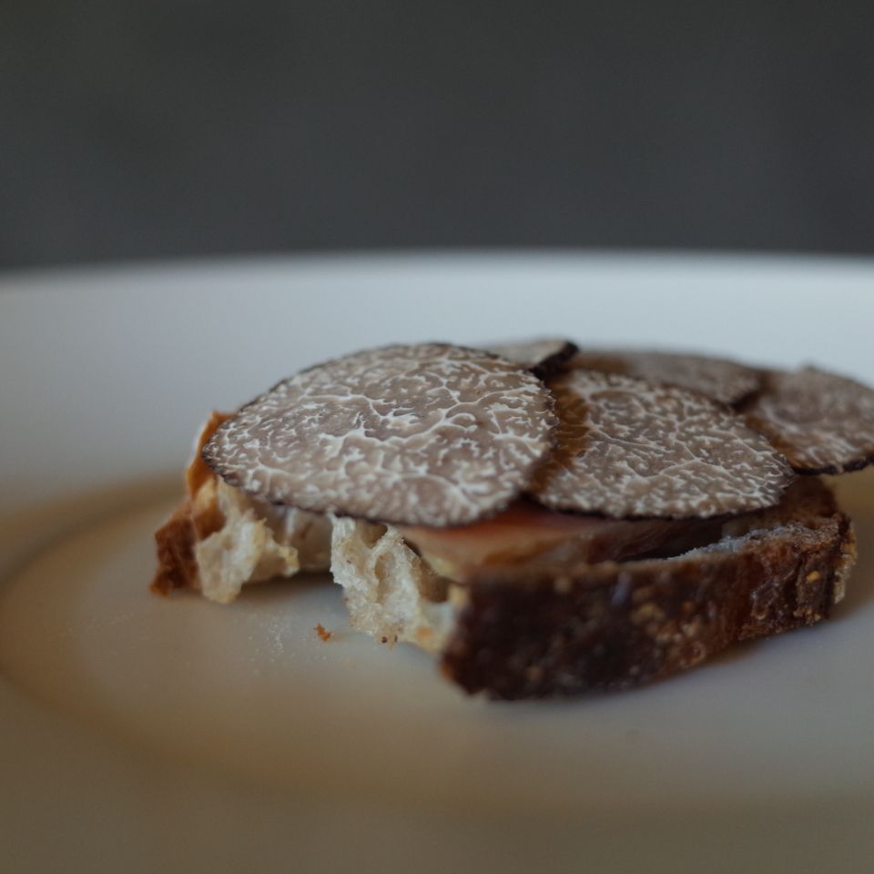 Omakase dinner course (8plats)