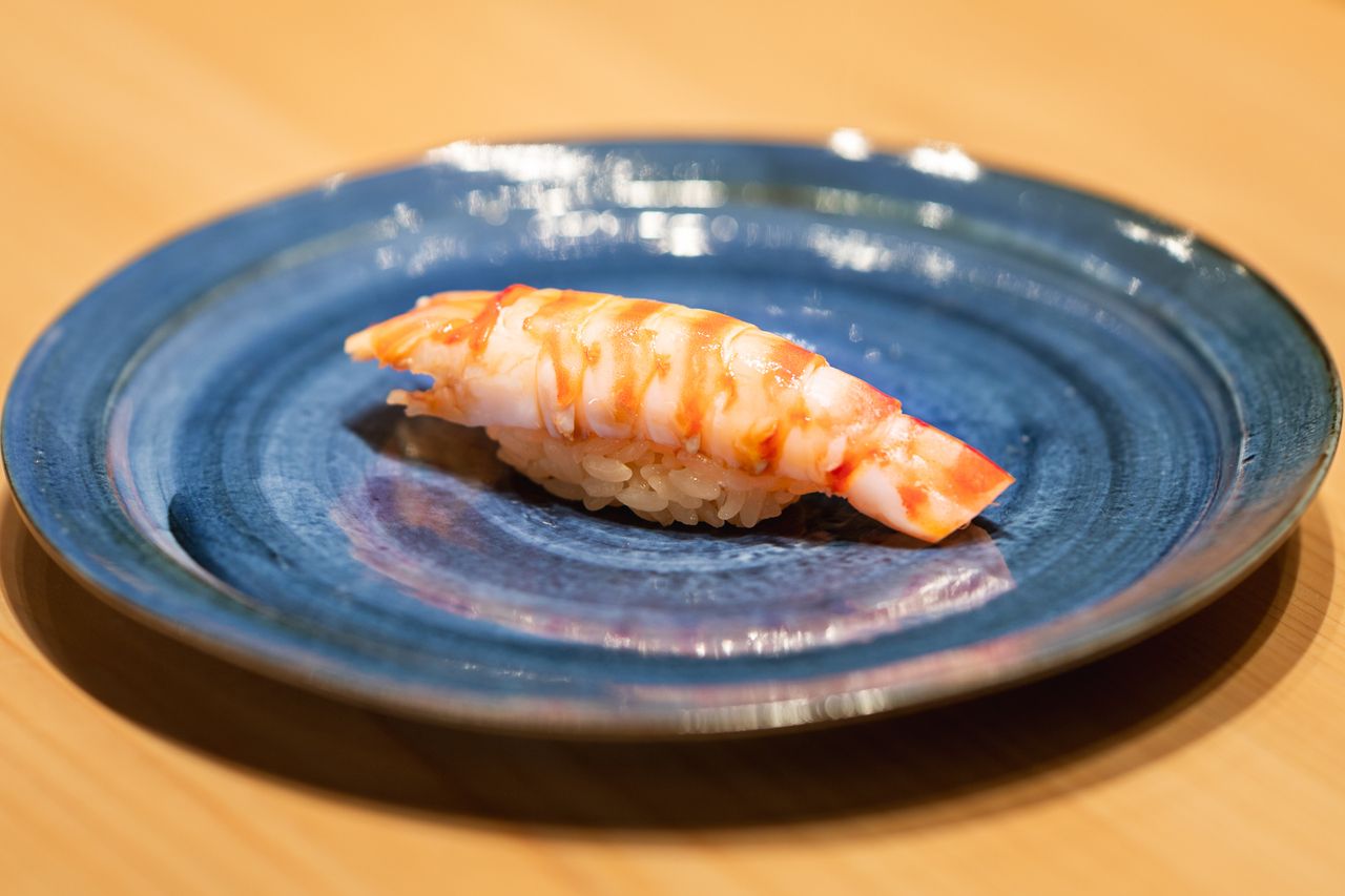 【おまかせコース＋ペアリングコース】